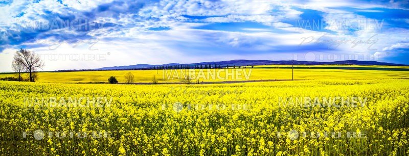 Панорамна фотография, Панорама, Интерактивна (3D) панорама, 180° панорама, 360° панорама, 180 градуса панорама, 360 градуса панорама, Професионална рекламна фотография, рекламна фотография, Архитектурна фотография, добър фотограф, Иван Банчев фотография, професионален фотограф, рекламни печатни материали, професионална изработка на рекламни печатни материали, професионална изработка на печатни материали, снимки за брошури, снимки за билборд, снимки за уеб сайт, снимки за онлайн магазин, снимки за печатни издания, fototo.be
